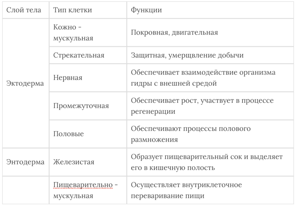 Заполните таблицу примерами рассуждая по образцу грач настежь дрожь